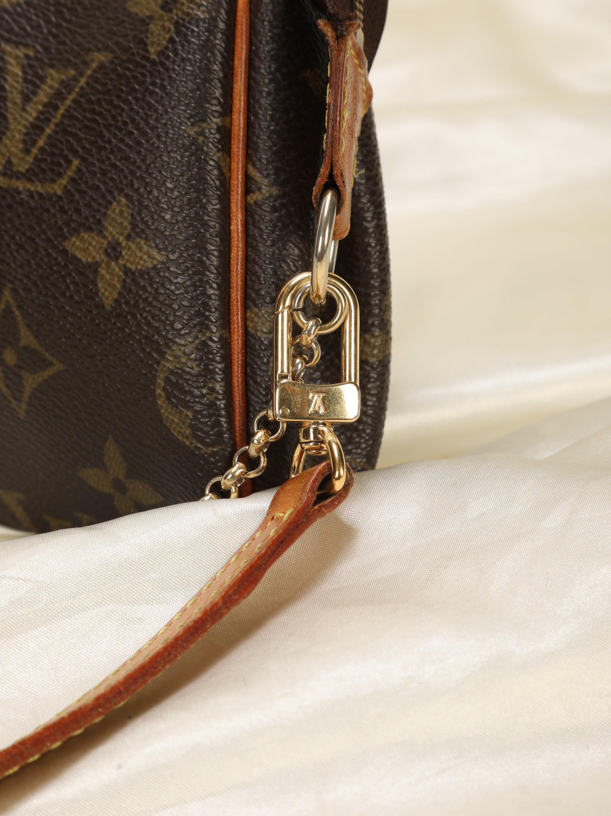 Louis Vuitton Eva Pochette