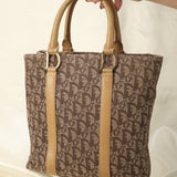 Dior Trotter Mini Tote