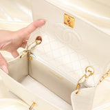 Rare Chanel Lambskin Trapezoid