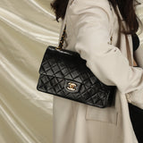 Chanel Classic Quilted Lambskin Double Flap