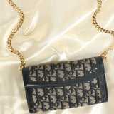Dior Trotter Wallet on Chain