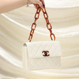 Rare Chanel Lambskin Tortoiseshell Flap Bag