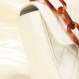 Rare Chanel Lambskin Tortoiseshell Flap Bag