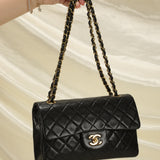 Chanel Small Classic Double Flap