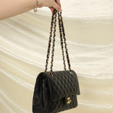 Chanel 2010 Medium Classic Double Flap