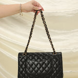 Chanel 2010 Medium Classic Double Flap