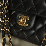 Chanel 2010 Medium Classic Double Flap