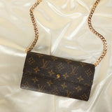 Louis Vuitton Long Wallet on Chain