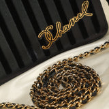 Rare Chanel Iridescent Wallet on Chain