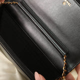 Rare Chanel Iridescent Wallet on Chain