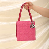 Rare Dior Tweed Mini Lady Dior
