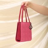 Rare Dior Tweed Mini Lady Dior