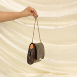 Louis Vuitton Favorite MM