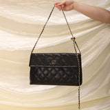 Chanel Caviar Clutch on Chain