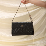 Chanel Caviar Clutch on Chain