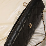 Chanel Caviar Clutch on Chain