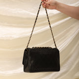 Chanel Lambskin Medium Diana