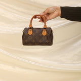 Louis Vuitton Mini Speedy
