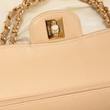 Rare Chanel Medium Caviar Double Flap