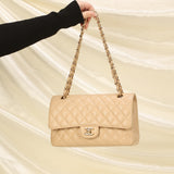 Rare Chanel Medium Caviar Double Flap