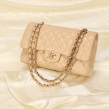 Rare Chanel Medium Caviar Double Flap