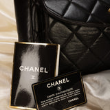 Extremely Rare Chanel Lambskin Double Turnlock Shoulder Bag