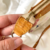 Louis Vuitton Multicolor Pochette