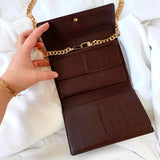 Louis Vuitton Damier Ebene Wallet on Chain