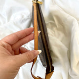 Louis Vuitton Pochette Bag